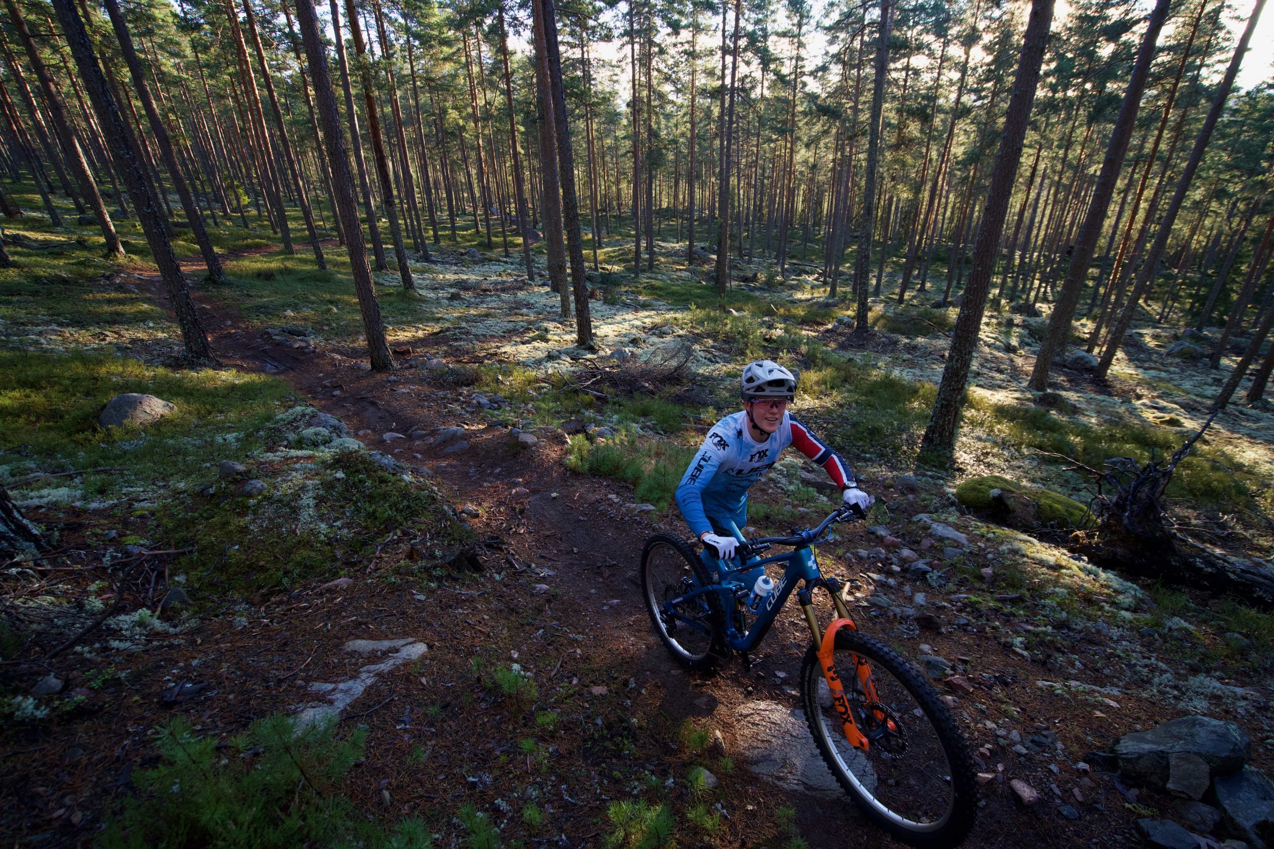 DSC02902 A person wearing a helmet and cycling gear rides a mountain bike along a winding dirt path through a dense, sunlit forest with tall, thin trees and a mossy ground.
