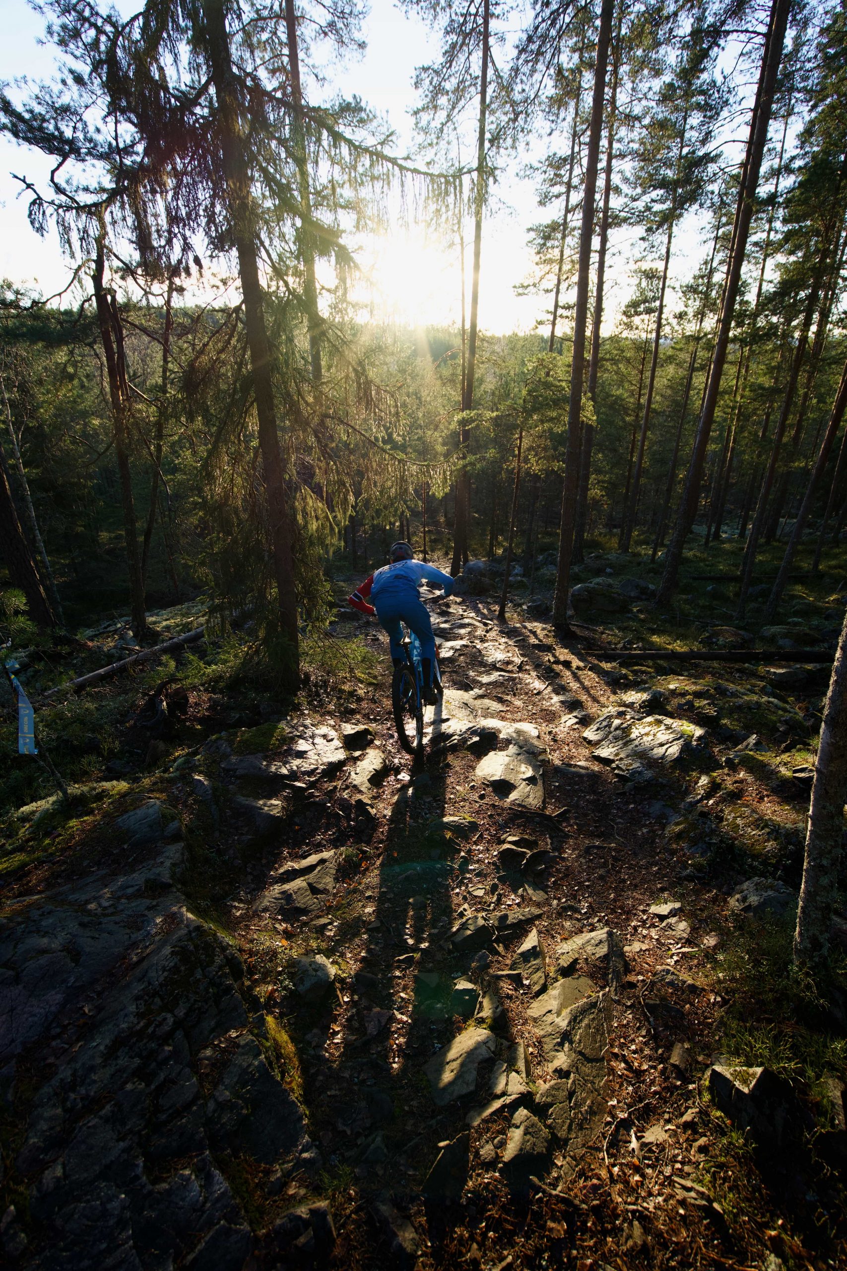 DSC02938 A person wearing blue rides a mountain bike down a rugged, rocky trail through a sunlit forest, with long shadows cast by tall trees.