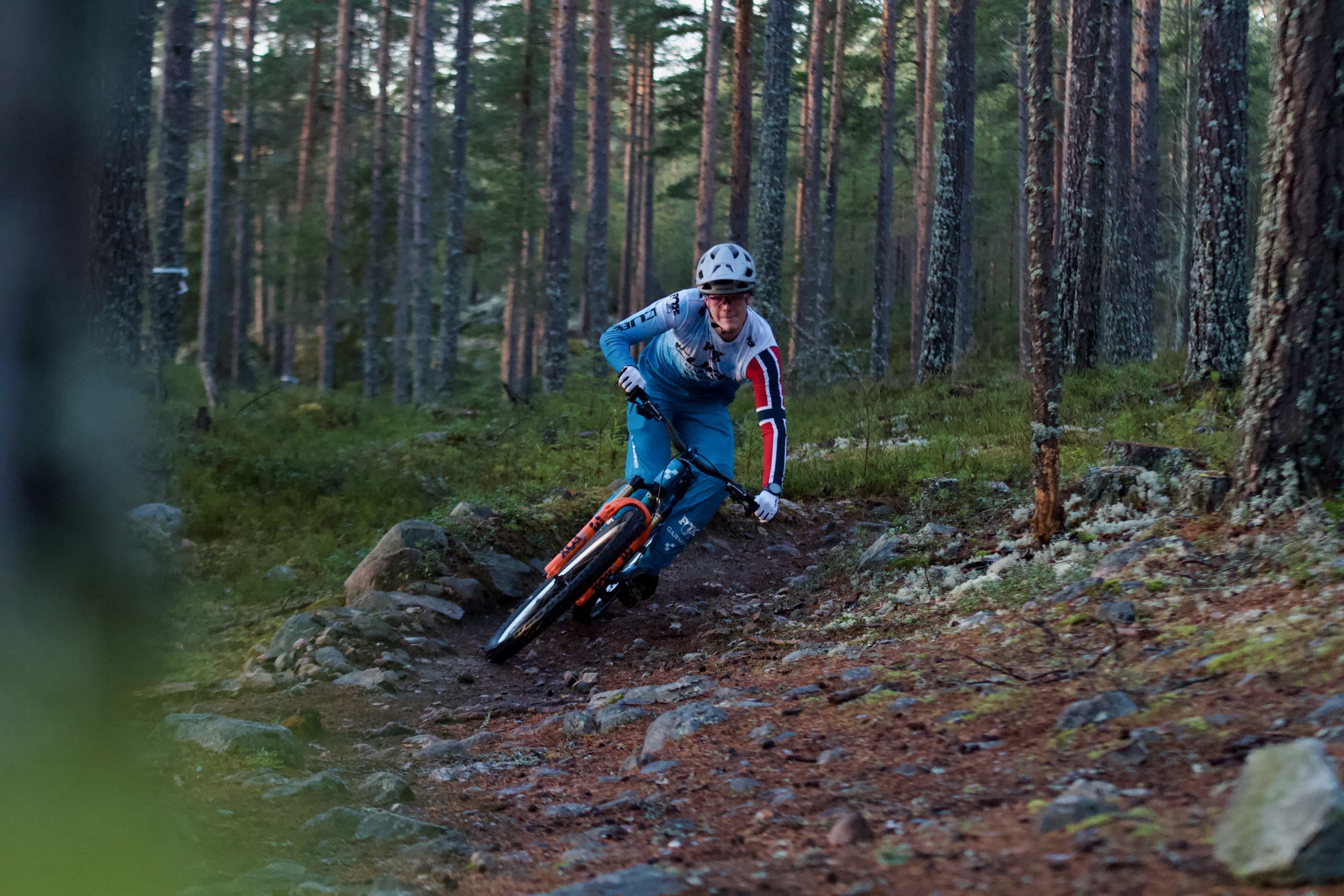 IMG_3611 A mountain biker wearing a helmet and blue gear rides quickly along a rocky forest trail, surrounded by tall trees and greenery.